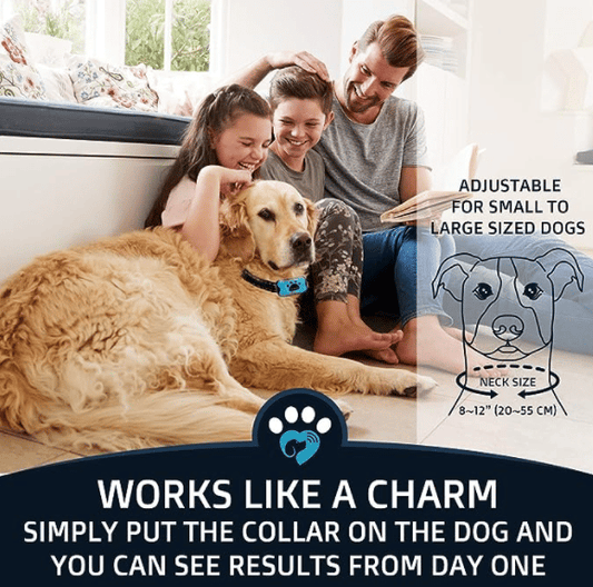 BarkTamer • Anti-Bark Collar
