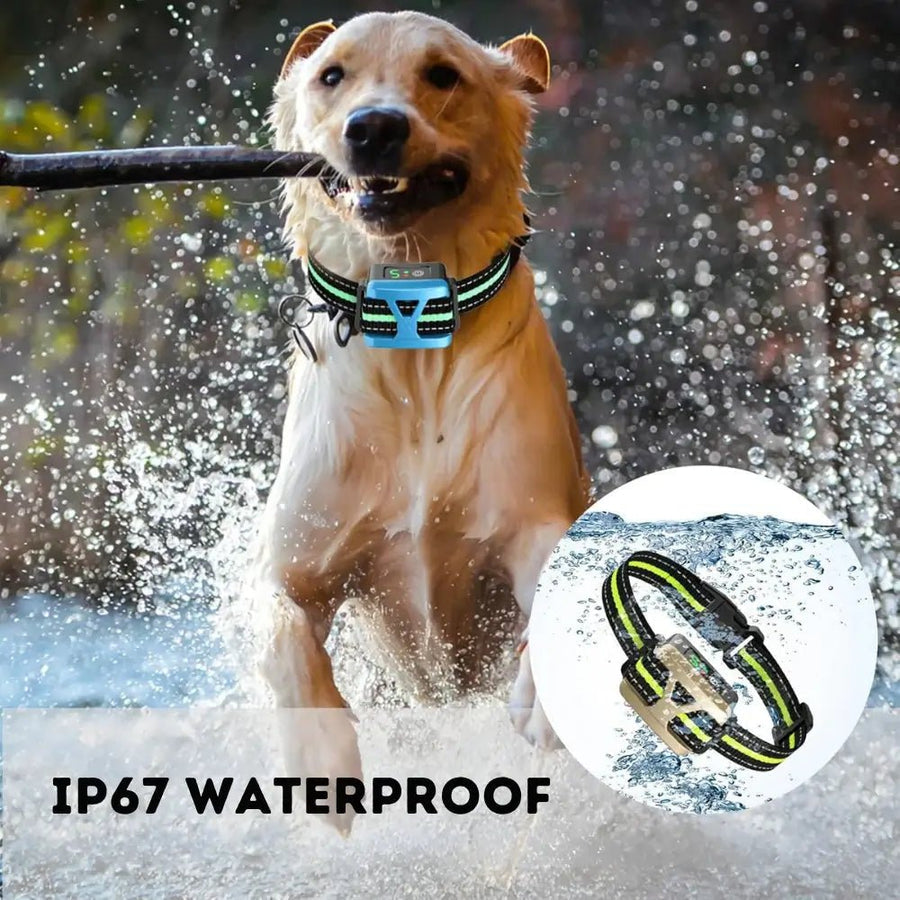 BarkSmart • Rechargeable Anti-Bark
Collar