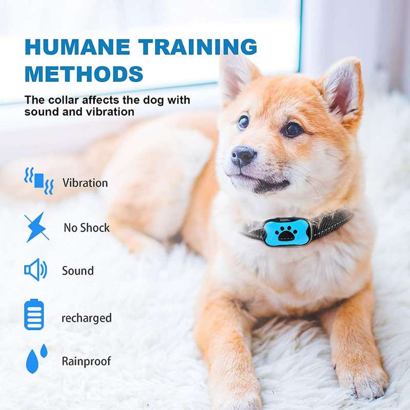 Anti-Bark Collar