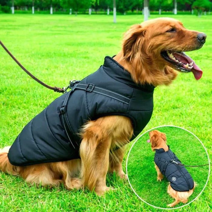 Waterproof Winter Dog Jacket - Sherpa-Fleece Lined - Built-in
Harness