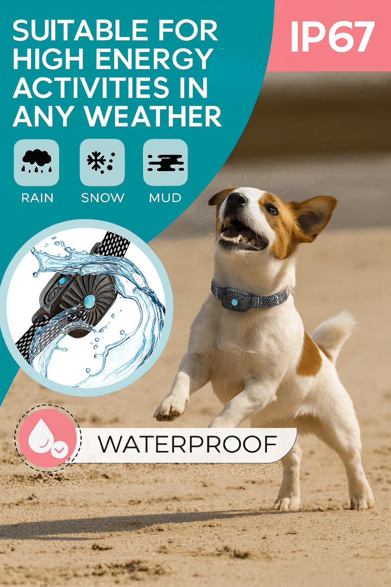 BarkLess Nano - Gentle Anti-Bark Collar for Puppies & Small Dogs