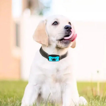 BarkTamer . Anti-Bark Collar