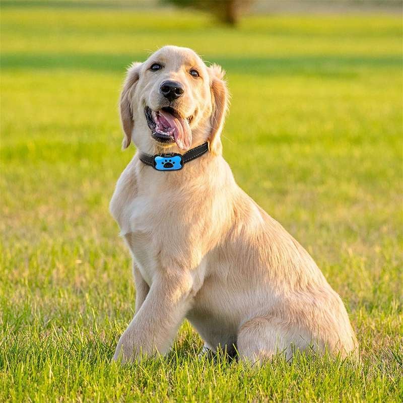 BarkTamer • Anti-Bark Collar