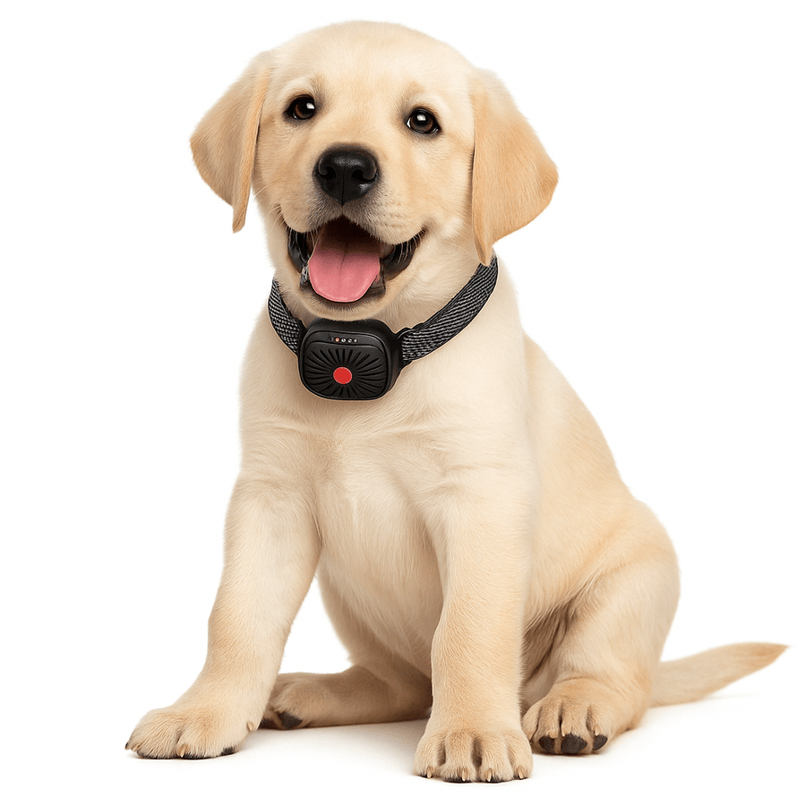 BarkLess Nano - Gentle Anti-Bark Collar for Puppies & Small Dogs